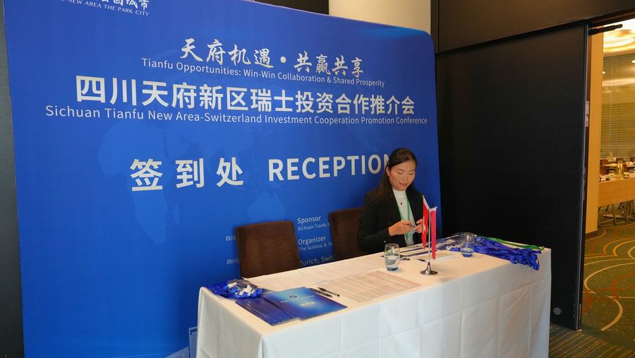 Sino-European business consulting